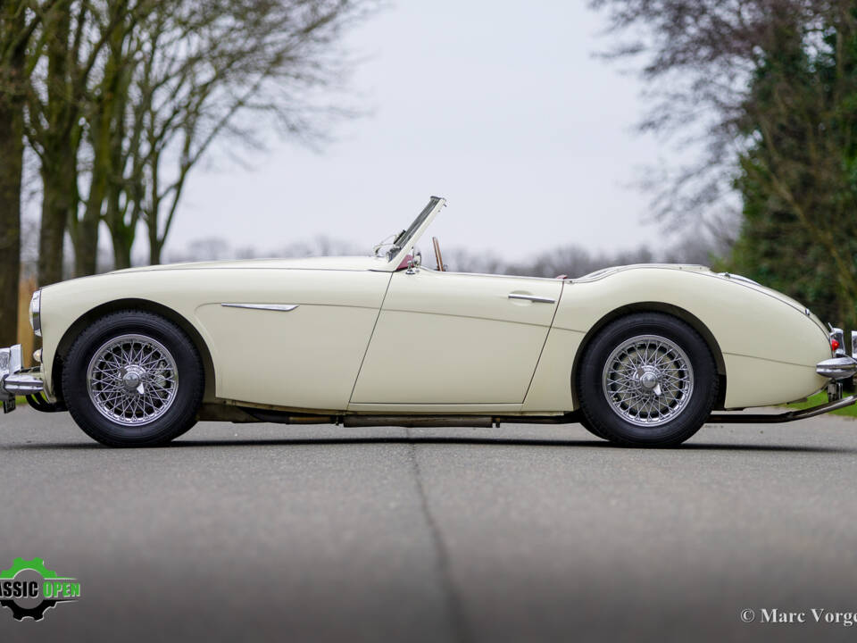 Immagine 3/50 di Austin-Healey 3000 Mk II (BT7) (1961)