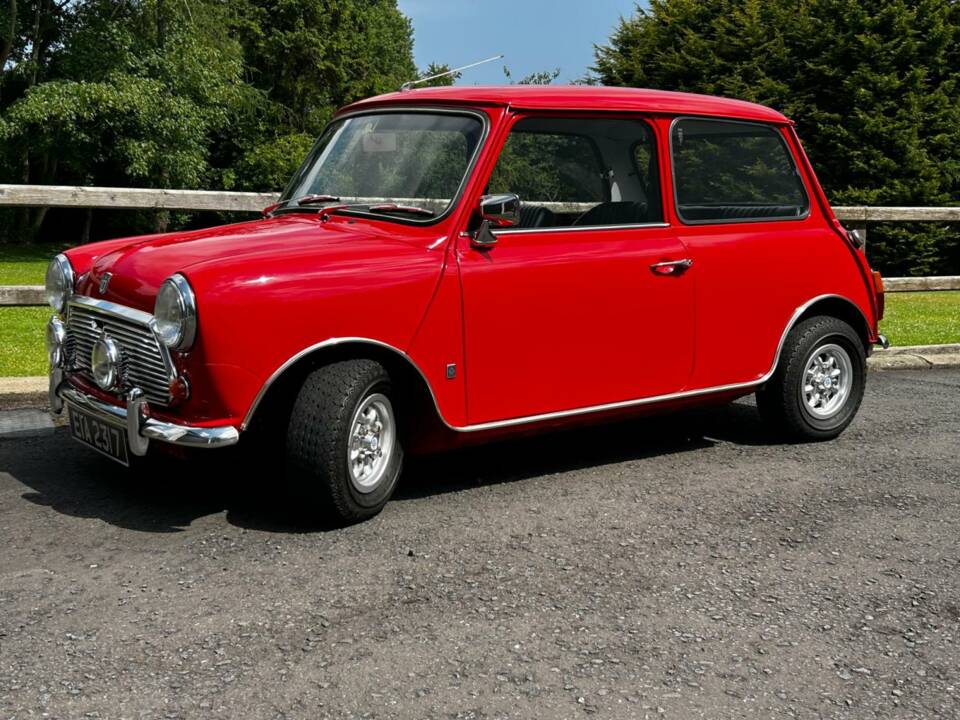 Bild 6/30 von Morris Mini Cooper S 1275 (1971)
