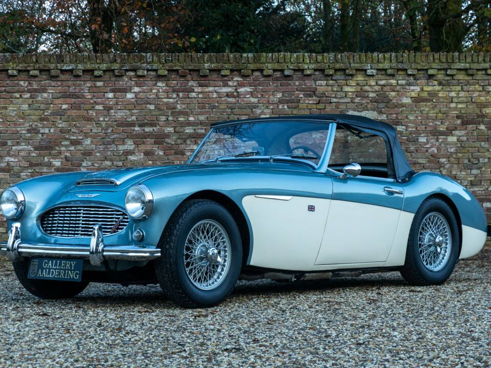 Bild 17/50 von Austin-Healey 3000 Mk I (BN7) (1960)