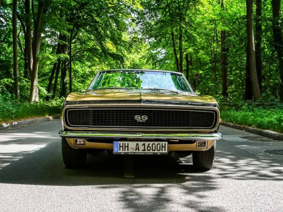 Image 7/14 of Chevrolet Camaro SS (1967)