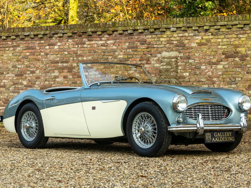 Bild 32/50 von Austin-Healey 3000 Mk I (BN7) (1960)