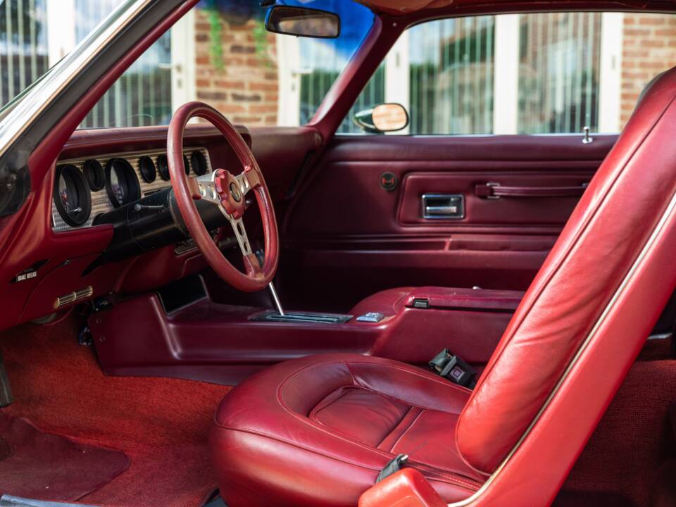 Immagine 36/49 di Pontiac Firebird TransAm (1973)