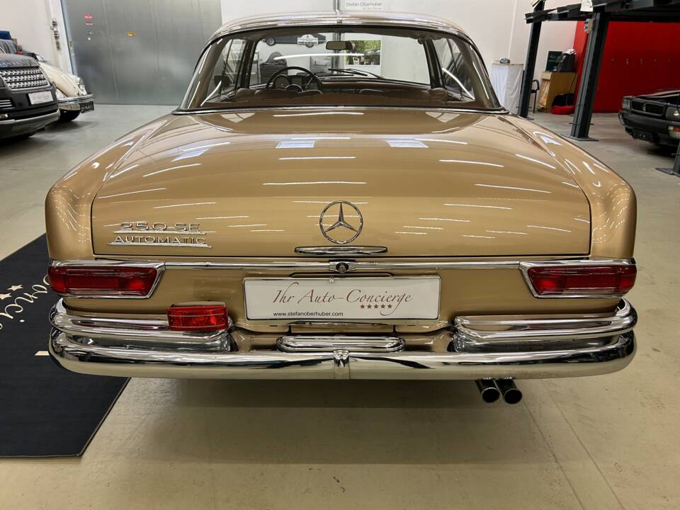 Immagine 6/25 di Mercedes-Benz 250 SE (1966)