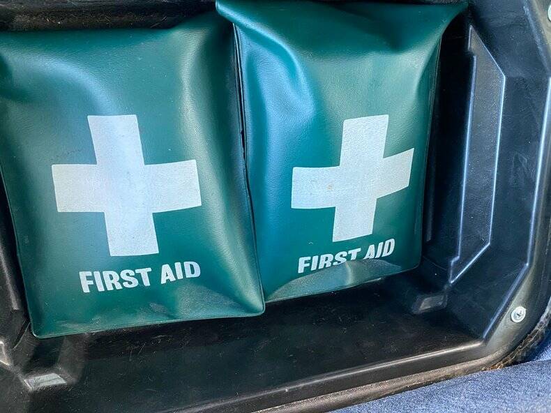 Bild 50/50 von Mercedes-Benz 450 SEL 6,9 (1978)