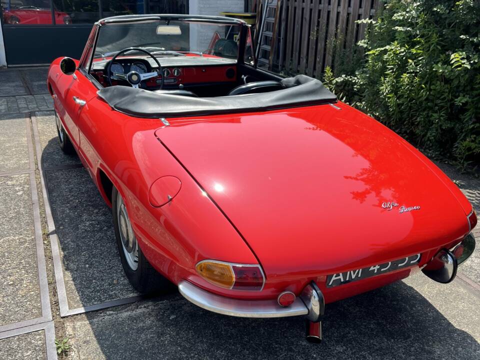 Immagine 8/8 di Alfa Romeo 1600 Spider Duetto (1967)