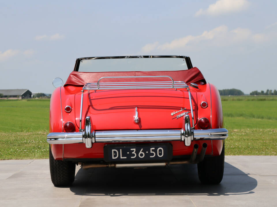 Image 42/50 of Austin-Healey 3000 Mk III (BJ8) (1964)