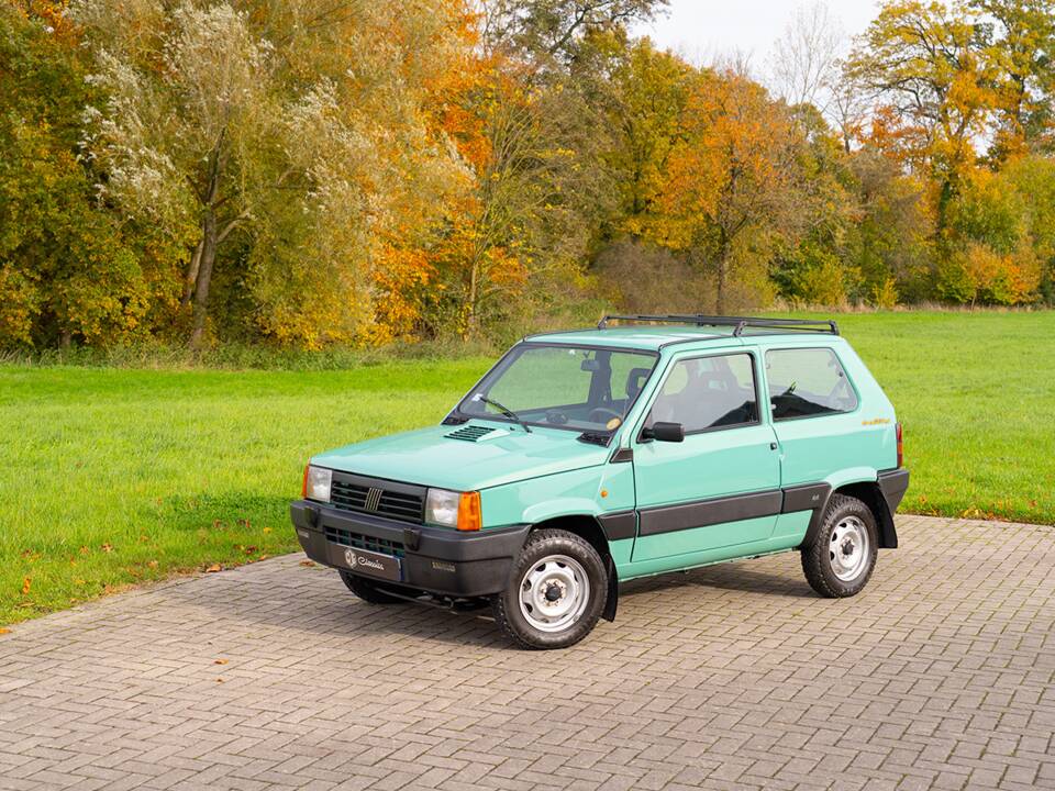 Afbeelding 2/39 van FIAT Panda Trecking 4x4 (2000)