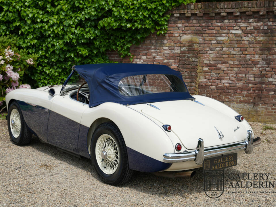 Immagine 11/50 di Austin-Healey 100&#x2F;4 (BN1) (1954)