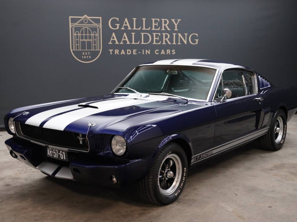 Immagine 1/50 di Ford Shelby GT 350 (1965)