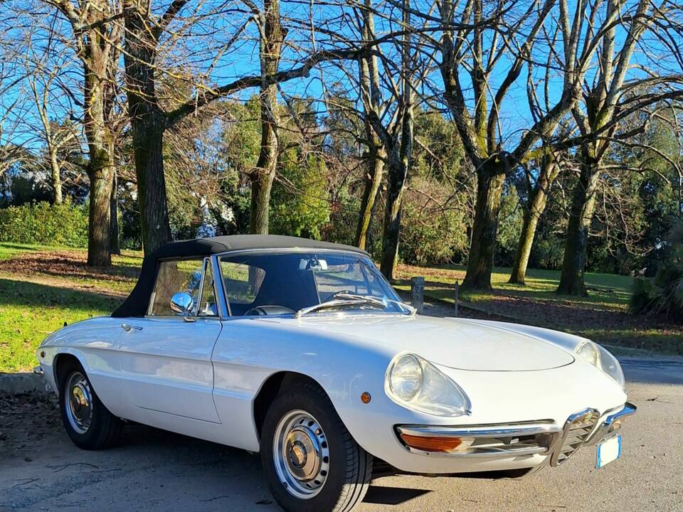 Bild 6/37 von Alfa Romeo 1750 Spider (1969)