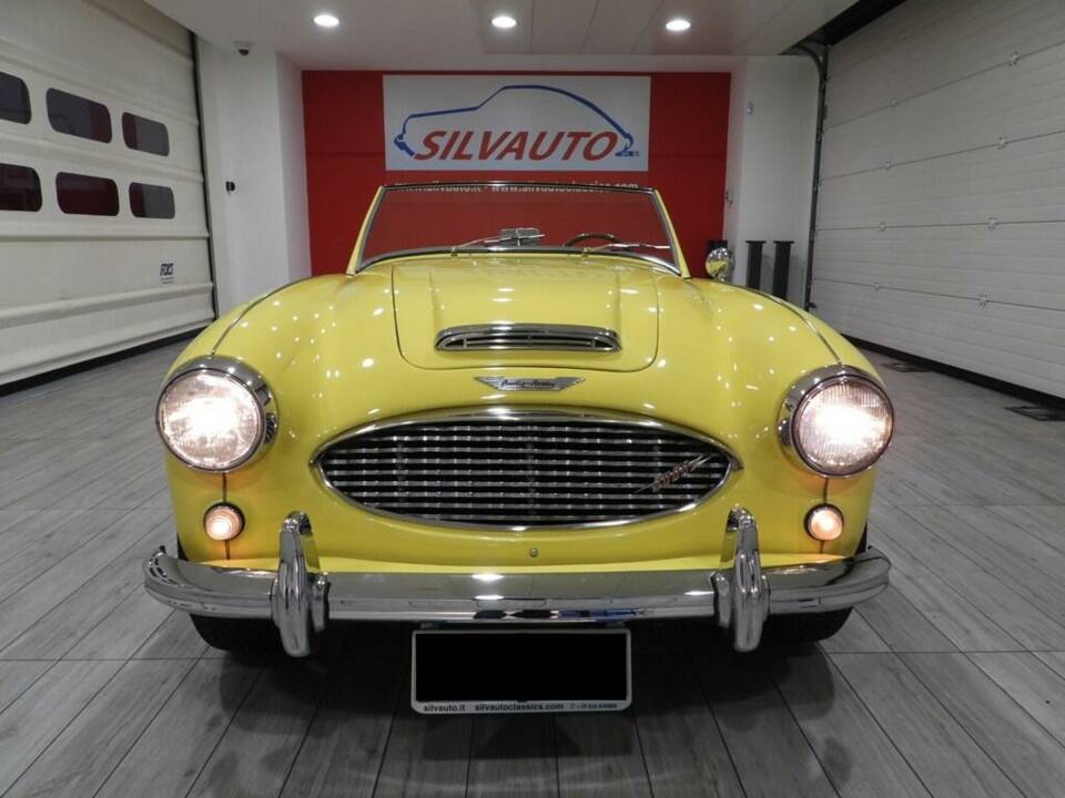 Afbeelding 10/15 van Austin-Healey 3000 Mk I (BN7) (1960)