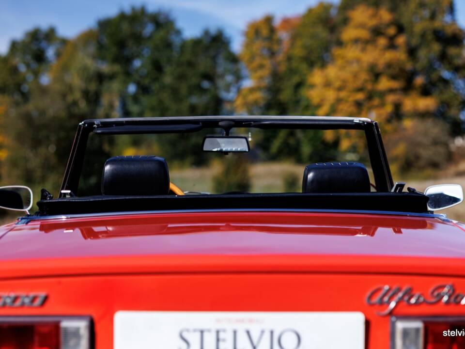 Image 17/43 of Alfa Romeo Spider Veloce 2000 (1976)