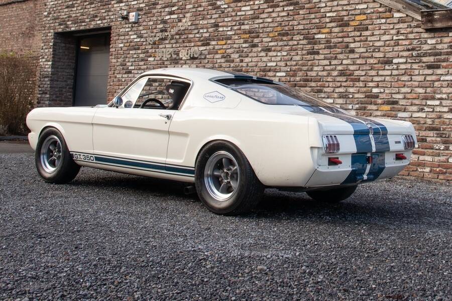 Afbeelding 36/48 van Ford Shelby GT 350 (1965)