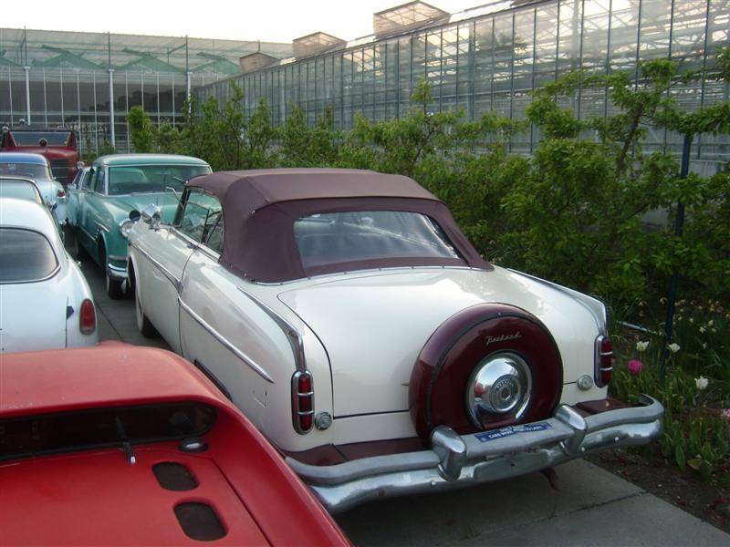 Image 19/44 of Packard 250 (1953)