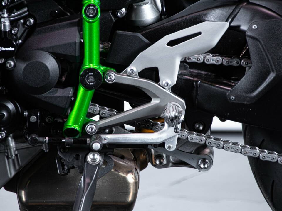 Bild 15/50 von Kawasaki DUMMY (2018)
