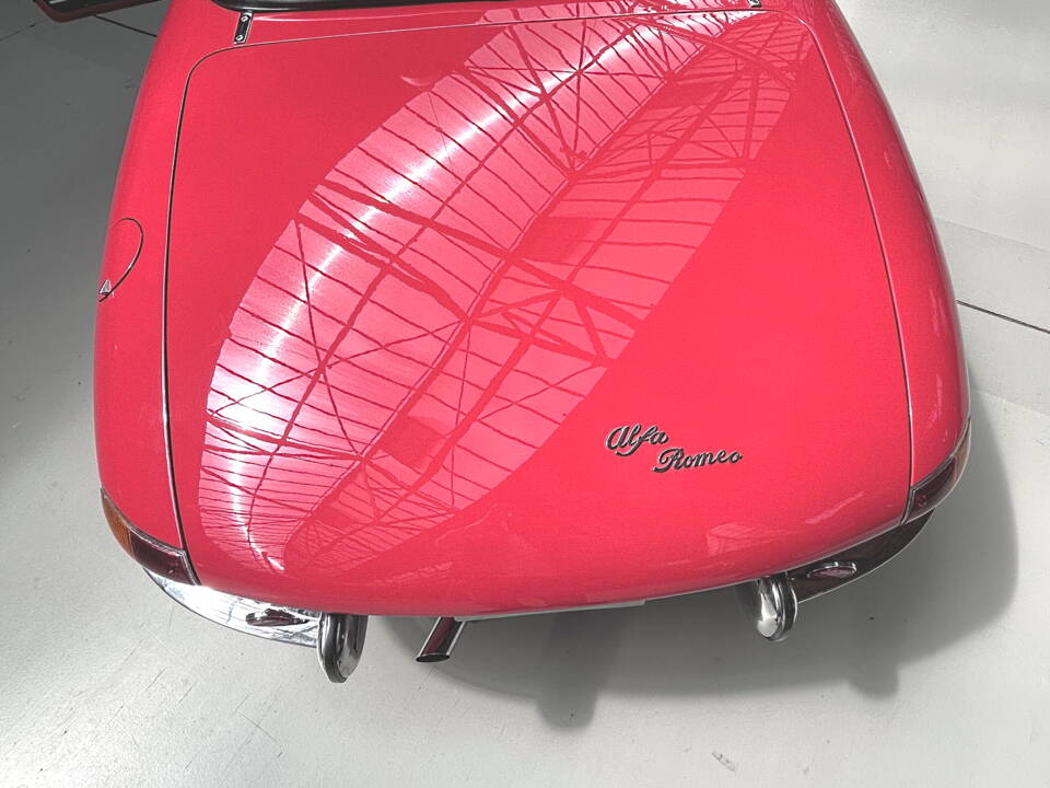 Immagine 14/30 di Alfa Romeo 1600 Spider Duetto (1966)