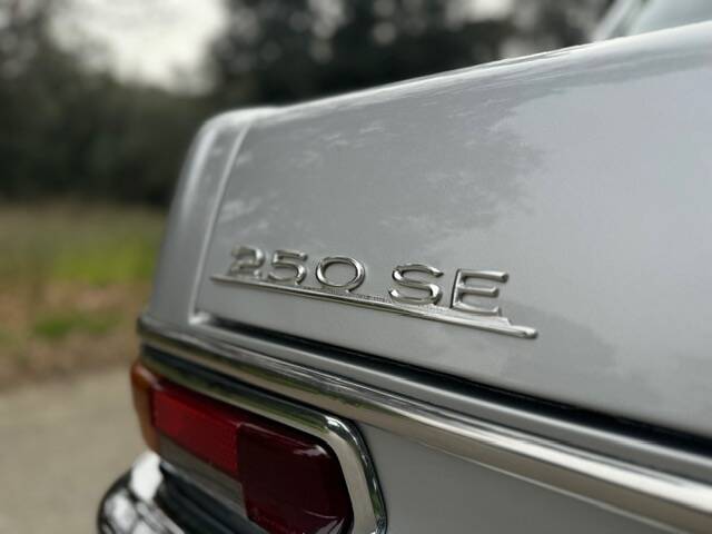 Imagen 10/42 de Mercedes-Benz 250 SE (1967)