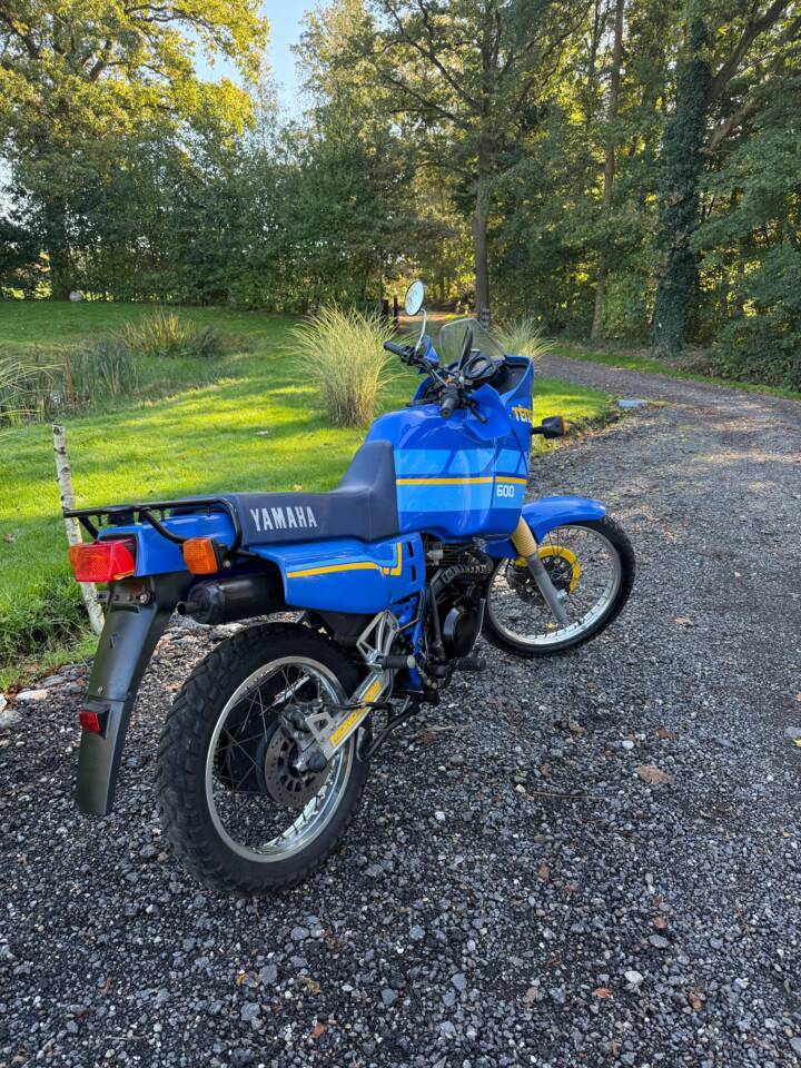 Image 6/18 de Yamaha DUMMY (1988)