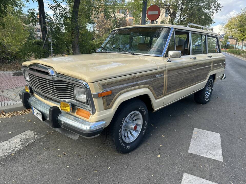 Bild 4/8 von Jeep Grand Wagoneer (1981)