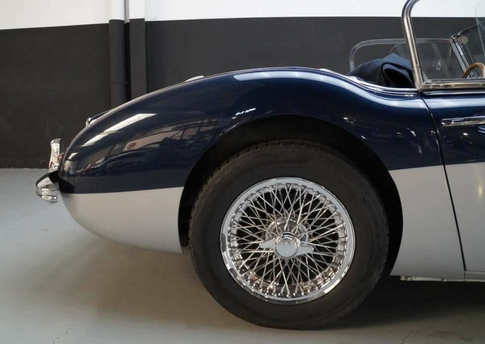 Immagine 37/50 di Austin-Healey 3000 Mk II (BN7) (1961)