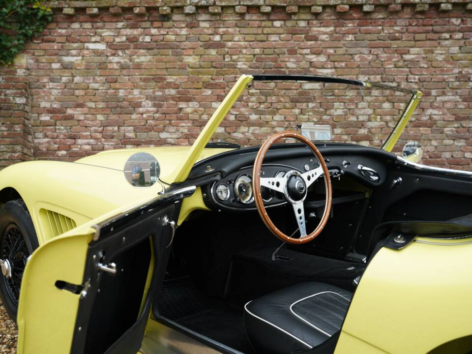 Bild 35/50 von Austin-Healey 3000 Mk I (BN7) (1960)