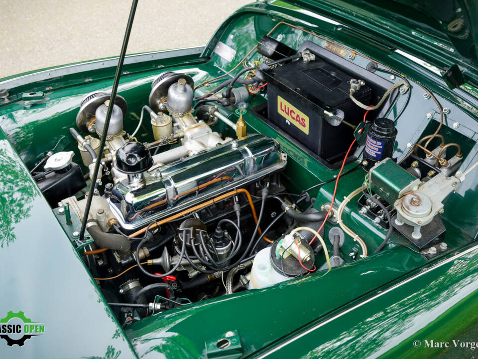 Image 13/41 of Triumph TR 3A (1959)