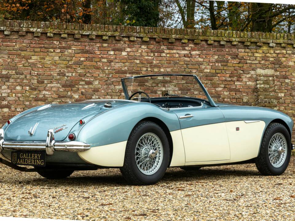 Bild 38/50 von Austin-Healey 3000 Mk I (BN7) (1960)