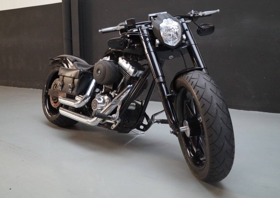 Imagen 26/50 de Harley-Davidson DUMMY (2008)