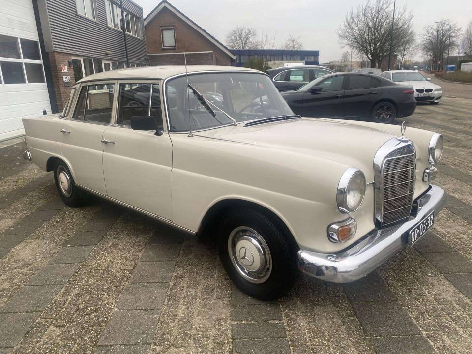 Bild 10/40 von Mercedes-Benz 230 (1967)