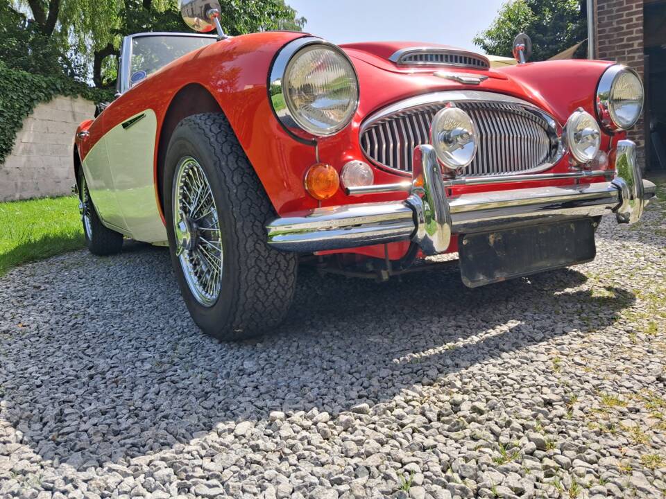 Afbeelding 4/28 van Austin-Healey 3000 Mk III (BJ8) (1966)