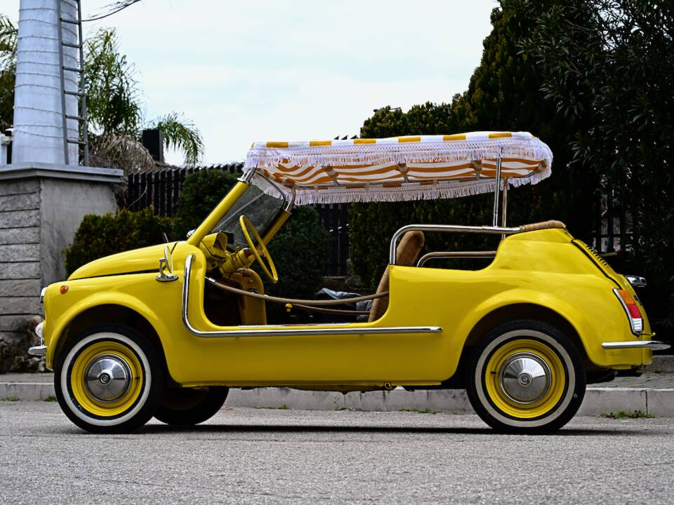 Image 14/45 of FIAT Ghia 500 Jolly (1971)