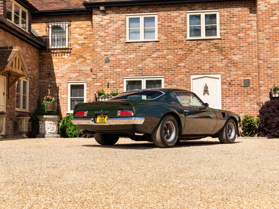 Immagine 22/49 di Pontiac Firebird TransAm (1973)