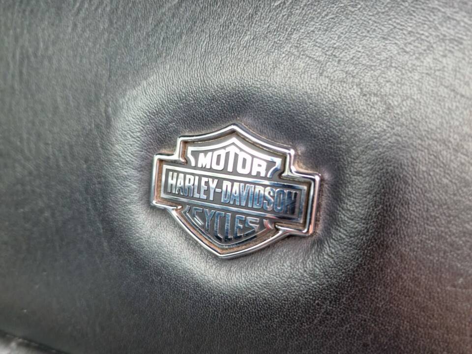 Immagine 15/31 di Ford F-150 &quot;Harley-Davidson&quot; (2006)