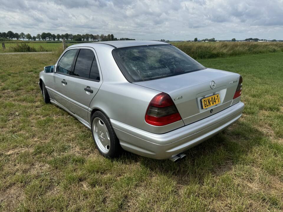 Bild 5/8 von Mercedes-Benz C 43 AMG (1998)