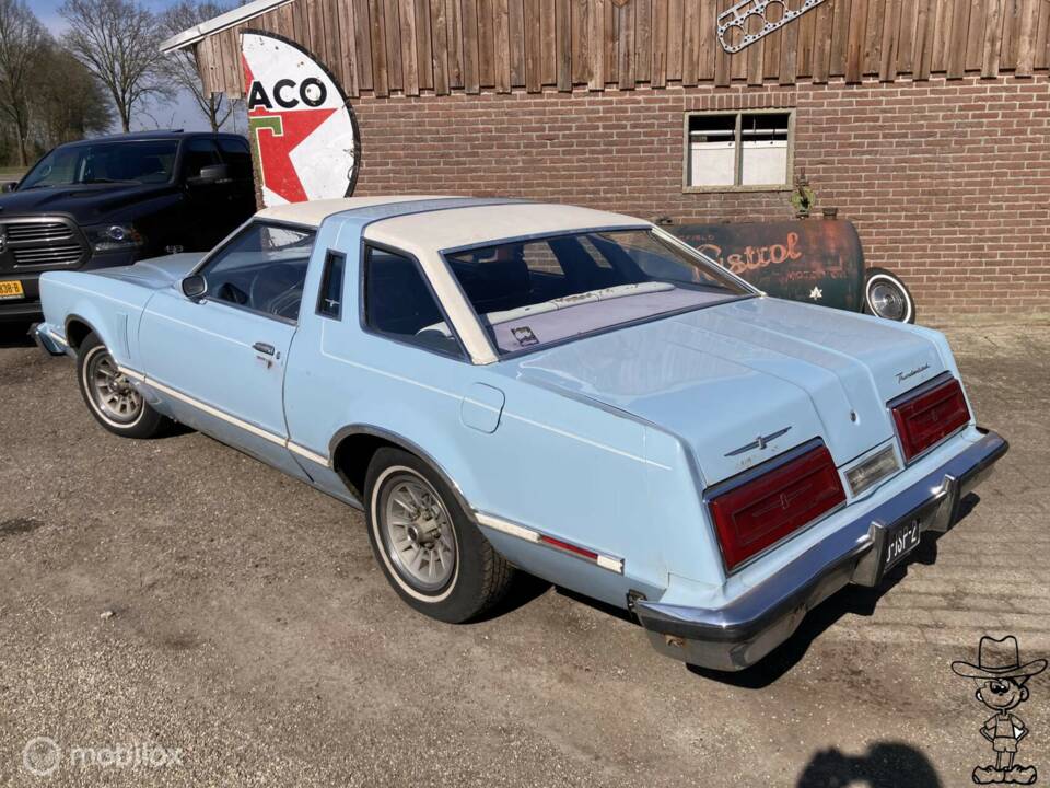 Afbeelding 8/29 van Ford Thunderbird (1979)