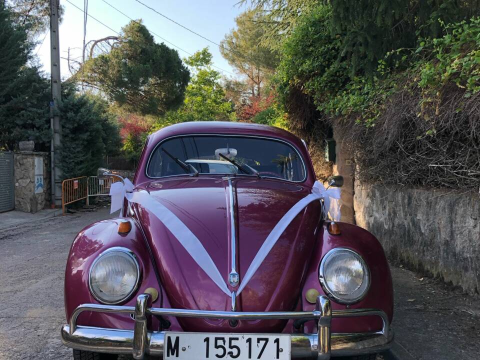 Imagen 8/15 de Volkswagen Käfer 1200 Standard &quot;Ovali&quot; (1956)