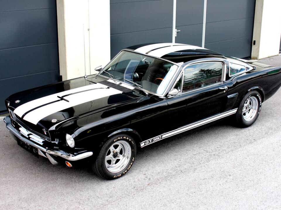 Immagine 19/20 di Ford Shelby GT 350 (1966)