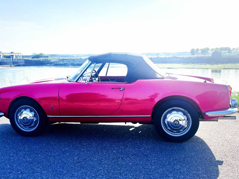 Image 7/8 of Alfa Romeo Giulia 1600 Spider (1962)