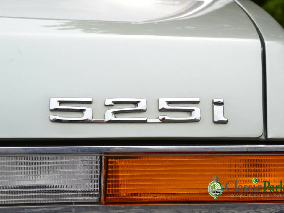 Image 46/50 of BMW 525i (1983)