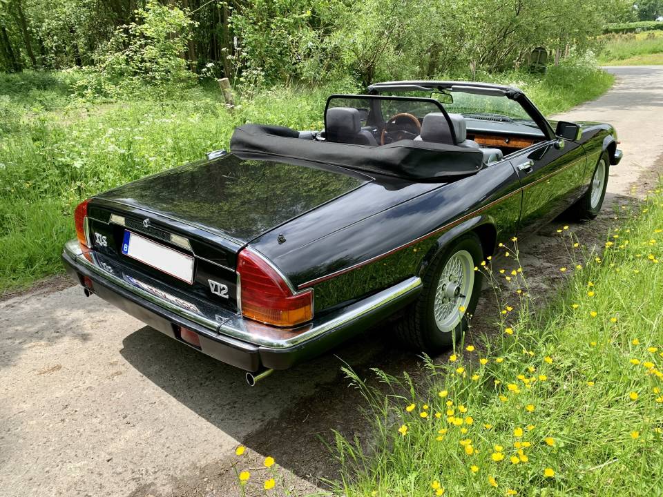 Image 29/46 de Jaguar XJS 5.3 V12 (1990)