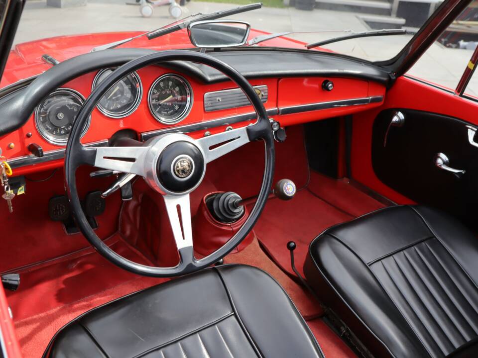 Bild 12/50 von Alfa Romeo Giulia 1600 Spider Veloce (1965)