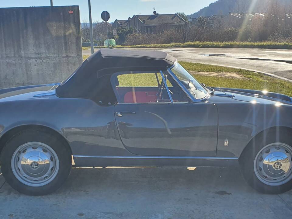 Image 5/50 of Alfa Romeo Giulietta Spider (1959)