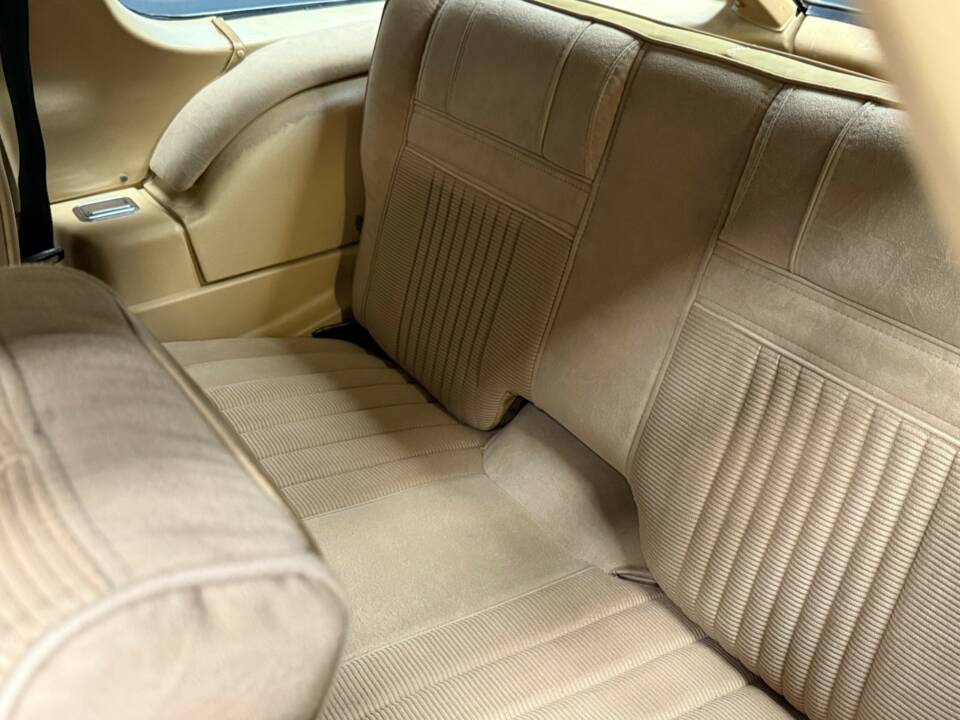Image 17/50 of AMC Pacer (1982)