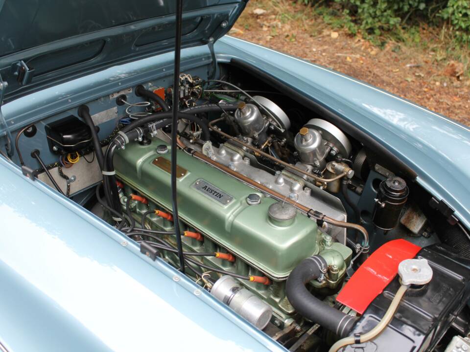 Bild 16/19 von Austin-Healey 3000 Mk I (BN7) (1961)