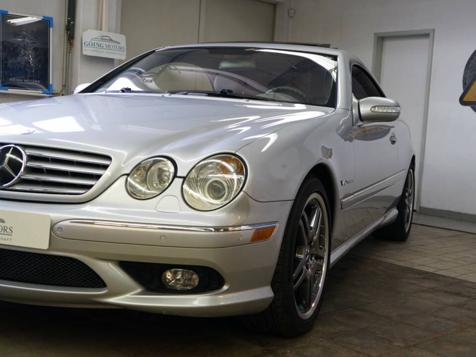 Bild 6/34 von Mercedes-Benz CL 65 AMG (2004)