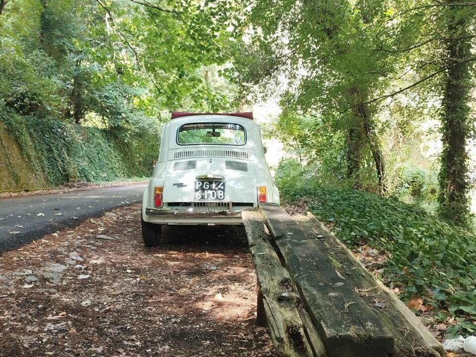 Bild 11/54 von FIAT 500 L (1969)