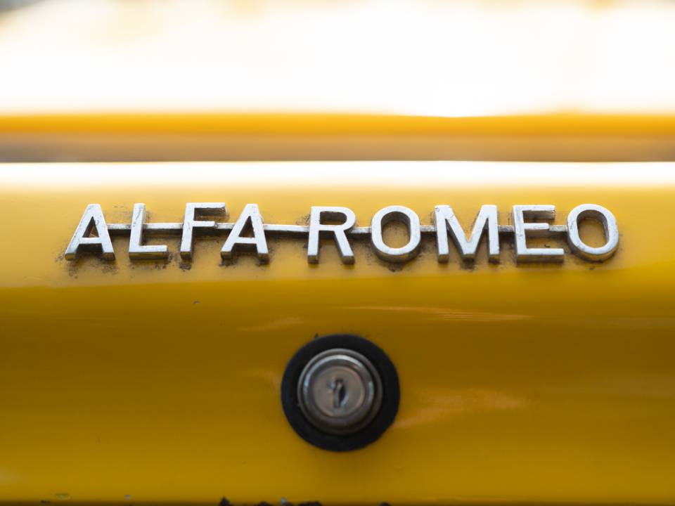 Bild 11/29 von Alfa Romeo Giulia 1300 (1965)