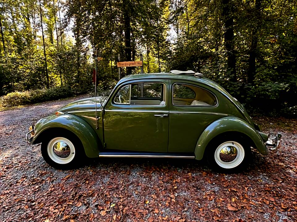 Bild 13/23 von Volkswagen Escarabajo 1200 (1960)
