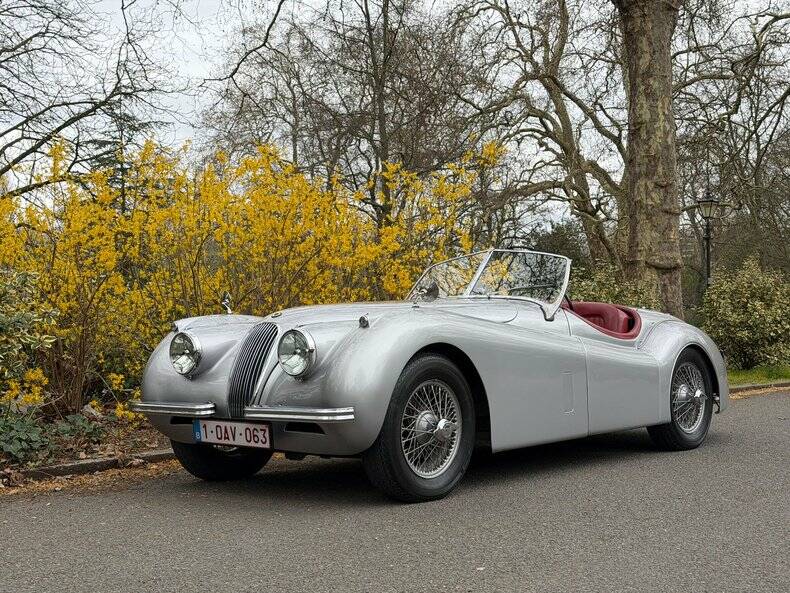 Image 1/50 of Jaguar XK 120 OTS (1953)