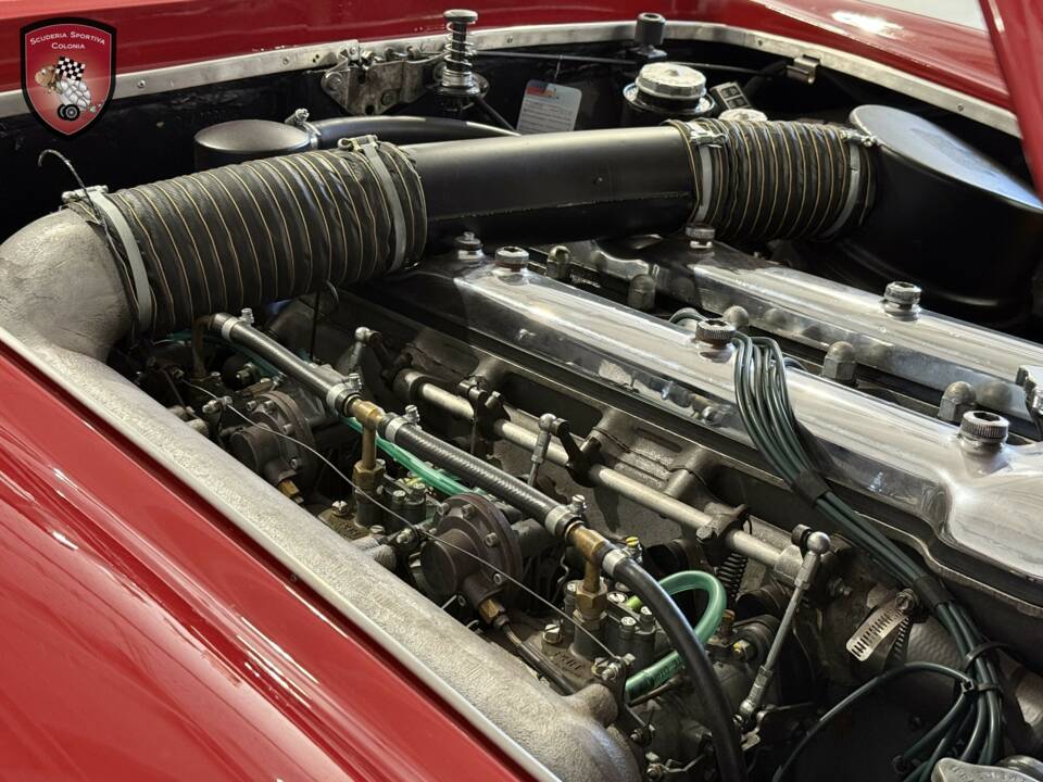 Bild 25/76 von Alfa Romeo 2600 Spider (1964)